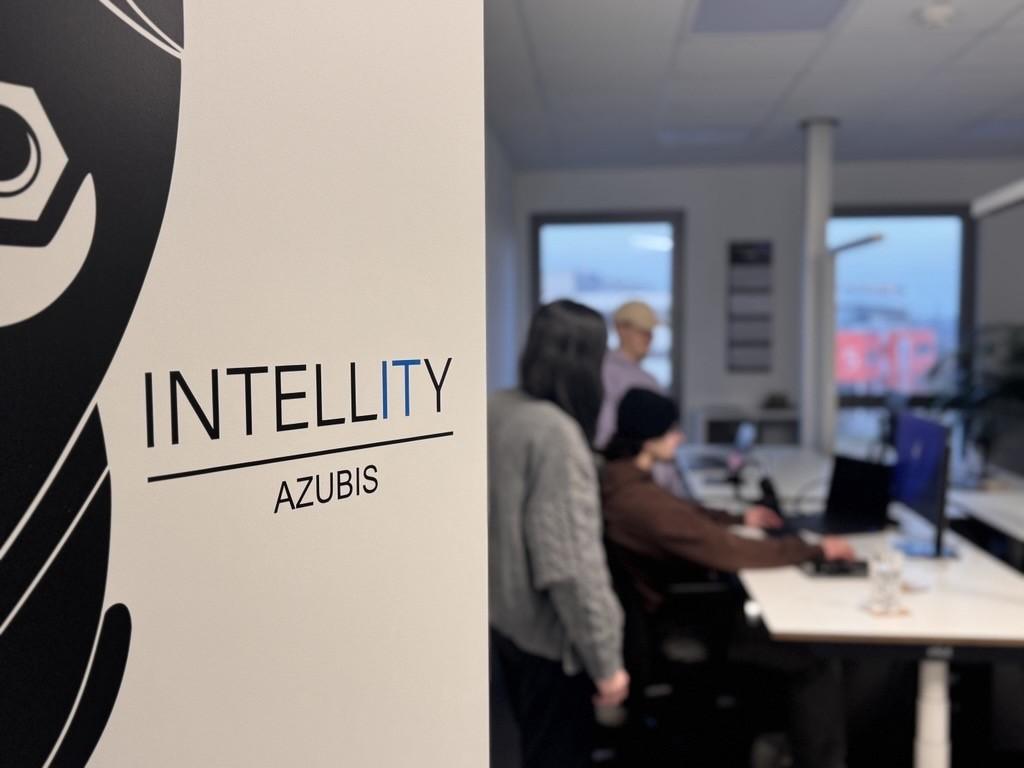 Image of a person using a computer